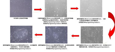 专业IPS技术服务 全面护航您的网络安全